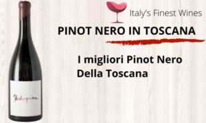 Italy's Finest Wines
